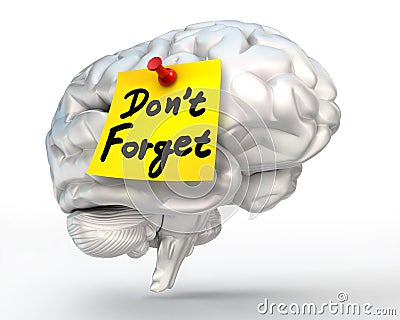 Do not forget reminder note on brain Stock Photo