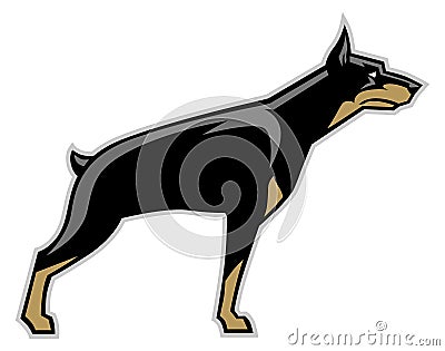 Doberman dog Vector Illustration