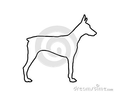 Doberman Pincher dog line contour vector illustration isolated. German military guardian dog for detecting smuggling drugs. Vector Illustration