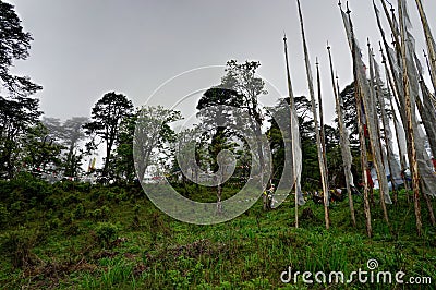 Dochula pass Bhutan HimalayaDochDoch Stock Photo