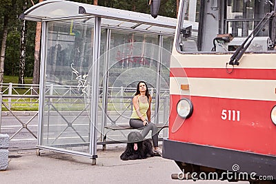 Docile briard and girl wait for tram. Stock Photo