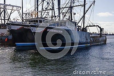 Docked scallopers Andrea A. and Determination Editorial Stock Photo