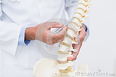 Doctor with anatomical spine Stock Photo