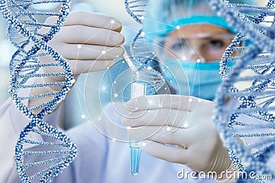 Doctor conducts the test and the study of DNA . Stock Photo