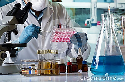 doctor cultivating cell tissue in culture plate on the laboratory Stock Photo