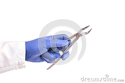 Doctor dentist holds in his hand forceps to pull out teeth on a white background, isolate. Dentistry tooth extraction concept Stock Photo