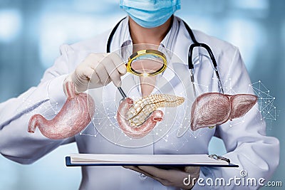 The doctor examines the internal organs Stock Photo