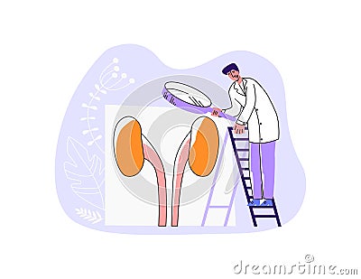 Doctor examining urinary system Cartoon Illustration