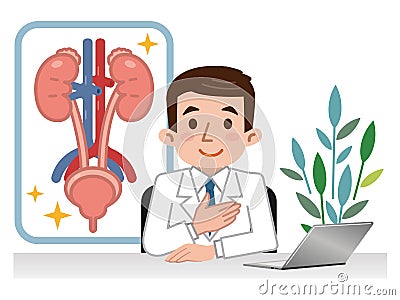 Doctor explaining urology Vector Illustration