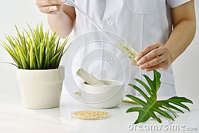 Doctor formulating new drug from organic natural plants, Pharmacist mixing extract essence substance in test tube. Stock Photo