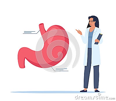 Doctor gives a training lecture about anatomy. Doctor presenting human stomach infographics. Medical seminar, lecture, healthcare Vector Illustration