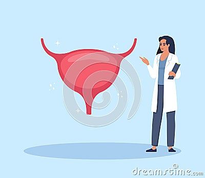 Doctor gives a training lecture about anatomy. Doctor presenting human bladder infographics. Medical seminar, lecture, healthcare Vector Illustration