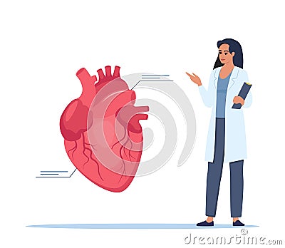 Doctor gives a training lecture about anatomy. Doctor presenting human heart infographics. Medical seminar, lecture, healthcare Vector Illustration