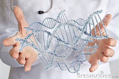 Doctor hands show DNA molecules Stock Photo