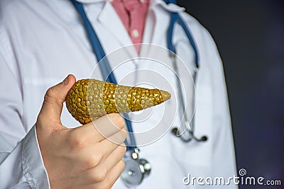 A doctor or healthcare professional in a lab coat holds an anatomical model of the pancreas in his hand, showing it to camera. Con Stock Photo