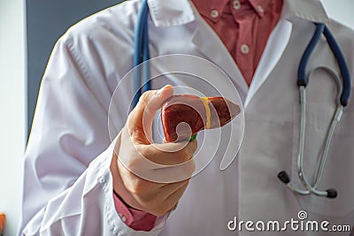 A doctor, hepatologist or gastroenterologist shows an anatomical, reduced model of the liver to the camera from the front or to th Stock Photo