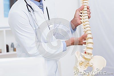 Doctor holding anatomical spine Stock Photo