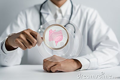Doctor holding Magnifier focus to stomach with intestine virtual icon Stock Photo