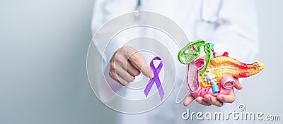 Doctor holding Purple ribbon with human Pancreas model for support Pancreatic cancer November awareness month, Pancreatitis, Stock Photo