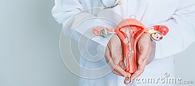 Doctor holding Uterus and Ovaries model. Ovarian and Cervical cancer, Cervix disorder, Endometriosis, Hysterectomy, Uterine Stock Photo