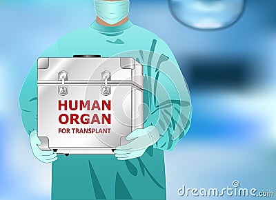 Doctor holds in hands the box with human organ for transplant, horizontal vector illustration Vector Illustration