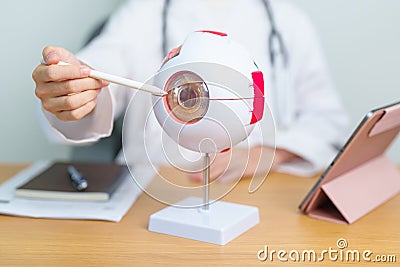 Doctor with human Eye anatomy model with magnifying glass. Eye disease, Refractive Errors, Age Related Macular Degeneration, Stock Photo