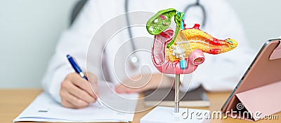 Doctor with human Pancreatitis anatomy model with Pancreas, Gallbladder, Bile Duct, Duodenum, Small intestine and tablet. Stock Photo