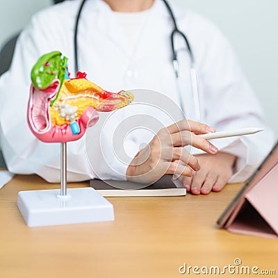 Doctor with human Pancreatitis anatomy model with Pancreas, Gallbladder, Bile Duct, Duodenum, Small intestine and tablet. Stock Photo