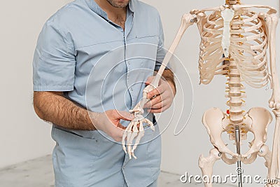 Doctor man pointing on arm of human skeleton anatomical model. Physiotherapist explaining joints model. Chiropractor or Stock Photo