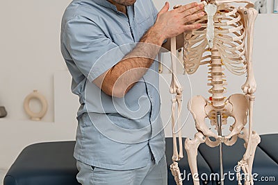 Doctor man pointing on ribs of human skeleton anatomical model. Physiotherapist explaining joints model. Chiropractor or Stock Photo