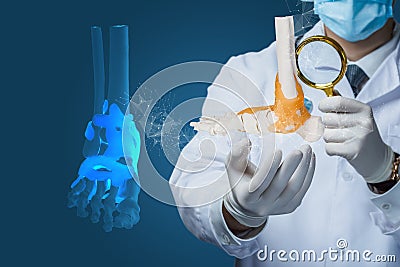 Doctor performs diagnostics examining the ankle joint with a magnifying Stock Photo