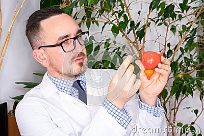 Doctor points to ureter connecting kidneys with bladder, to patient at appointment as the cause of possible disease, renal colic, Stock Photo