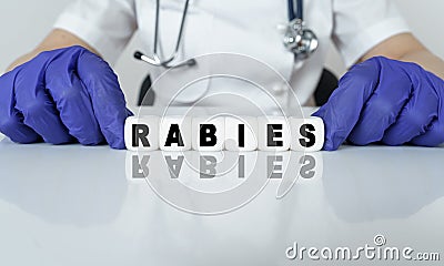 The doctor put together a word from cubes RABIES Stock Photo