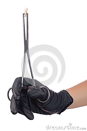 A doctor`s hand in a black medical glove holds a child`s molar tooth in a clamp. Studio photo Stock Photo