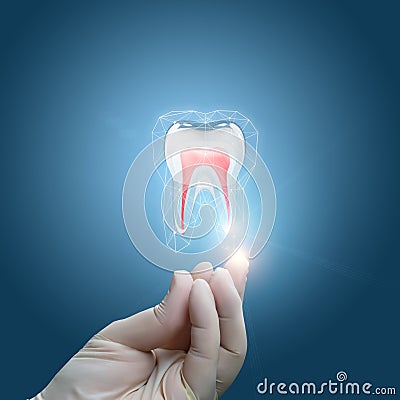 In the doctor`s hand tooth . Stock Photo