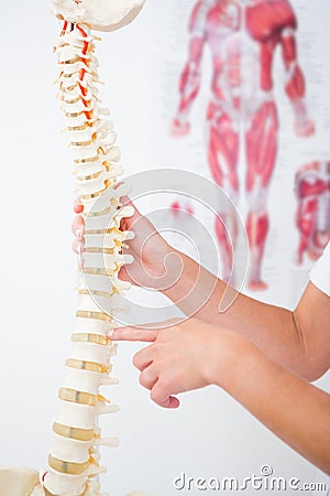 Doctor showing anatomical spine Stock Photo