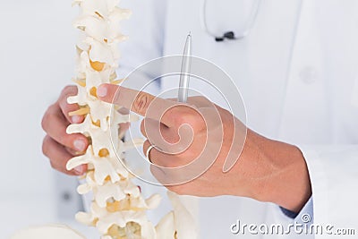 Doctor showing anatomical spine Stock Photo