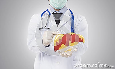 Doctor showing fatty liver , liver disease Stock Photo