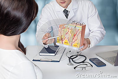 Doctor showing skin anatomy model to patients Stock Photo