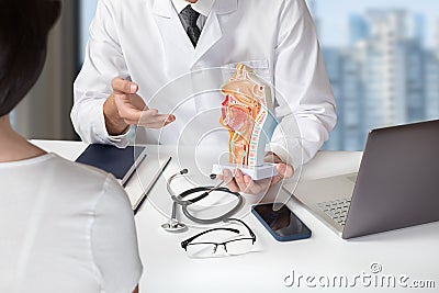 Doctor shows the anatomy and structure of the mucous membrane Stock Photo