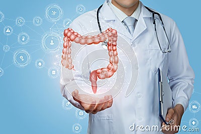Doctor shows the colon of a person Stock Photo