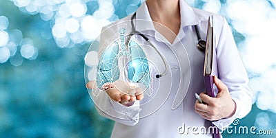 Doctor shows human lungs . Stock Photo