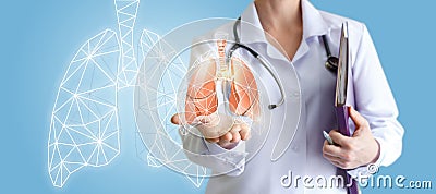 Doctor shows human lungs. Stock Photo