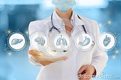 Doctor shows icons of internal human organs . Stock Photo