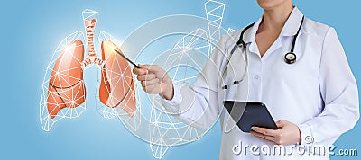 Doctor shows an interactive picture lungs. Stock Photo