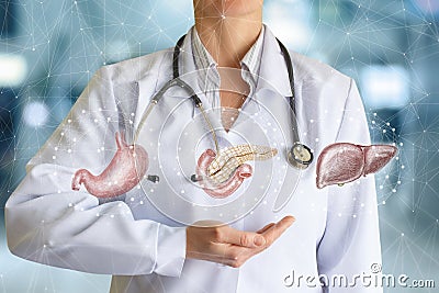 Doctor shows internal organs of digestion Stock Photo