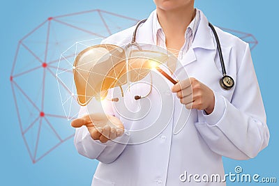 Doctor shows liver. Stock Photo