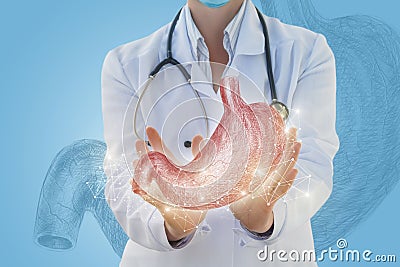 Doctor shows the stomach is drawn . Stock Photo