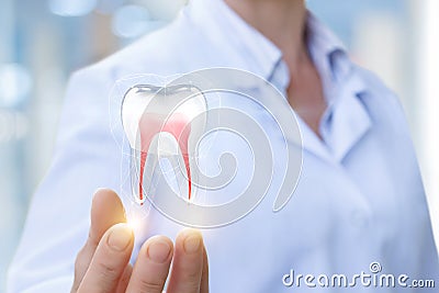 Doctor shows tooth. Stock Photo