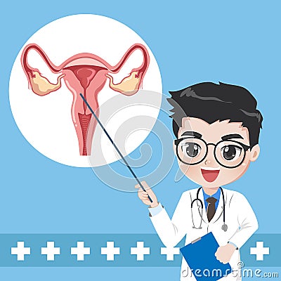 Doctor teaches give knowledge system human uterus Vector Illustration